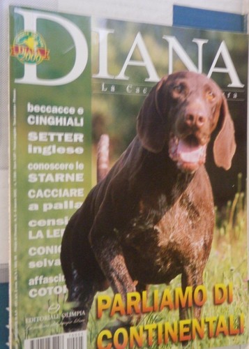 Diana 2001 lepre - 5, setter