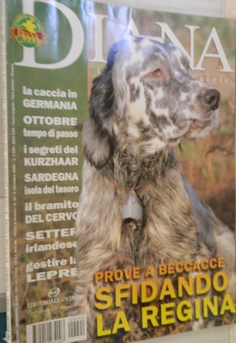 Diana 2000 caccia - 22,